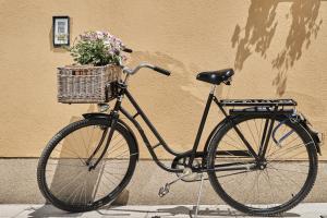 a bike parked next to a building with a basket of flowers at Pansion Rose in Mostar
