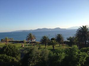 a view of a large body of water with palm trees at Apartment Salivoli in Piombino