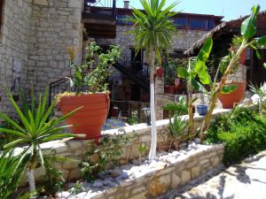Vonkajšia záhrada v ubytovaní Stone Village Hotel Apartments