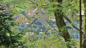 a large house in the middle of a forest at Landhotel Spessartruh in Frammersbach