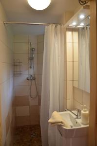 a bathroom with a shower curtain and a sink at Chata Nela in Horní Planá