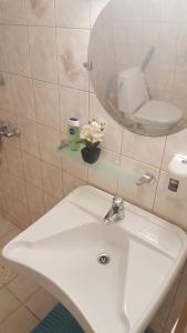 a bathroom with a sink and a mirror and a toilet at Sireli Hostel in Suureranna