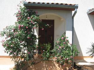 a door with a bunch of pink flowers on it at Attractive holiday home in Vabriga in Vabriga
