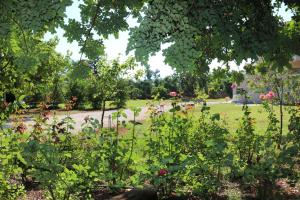 a park with a field of flowers and trees at Sani Kasimis in Kyparissia