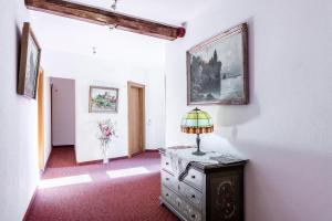 TV a/nebo společenská místnost v ubytování Hotel Goldener Sternen