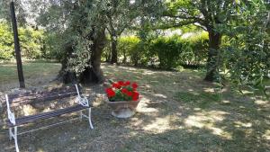 Ogród w obiekcie Antico Casale Romano