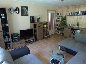 a living room with a couch and a tv at Ferienwohnung Bauer Alter Hammer in Schmiedefeld am Rennsteig