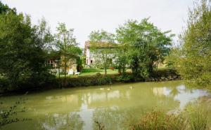 a river with ducks swimming in it in front of a building at Arie Chez Mimosa in Dému +4 photos