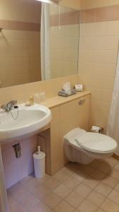 a bathroom with a sink and a toilet and a mirror at Agnes Blackadder Hall - Campus Accommodation in St. Andrews