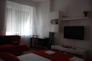 Televízia a/alebo spoločenská miestnosť v ubytovaní King's view apartment