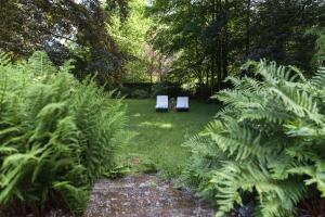 Aed väljaspool majutusasutust B&B Le Bois Dormant