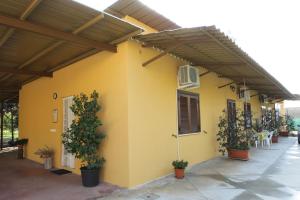 ein gelbes Gebäude mit Topfpflanzen darauf in der Unterkunft Agriturismo La Giannottola in Aprilia