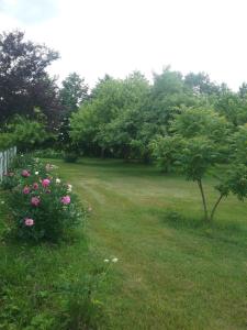 Photo de la galerie de l'établissement Atpūtas komplekss Lakši, à Usma