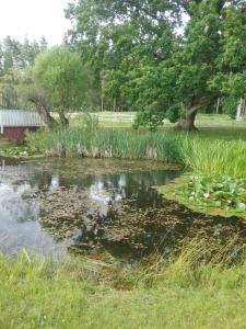 Photo de la galerie de l'établissement Atpūtas komplekss Lakši, à Usma