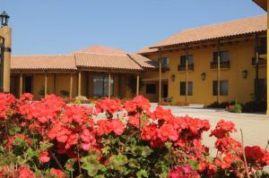 Zahrada ubytování Hotel Ontiveros