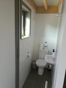 a bathroom with a toilet and a sink and a window at Wenduine zeehuisje 16 in Wenduine