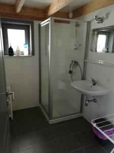 a bathroom with a shower and a sink at Wenduine zeehuisje 16 in Wenduine