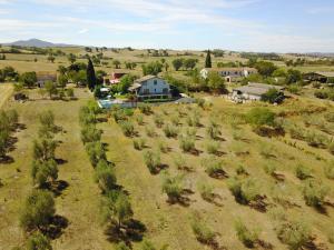 an aerial view of a farm with trees in a field at Almatoscana in Campagnatico