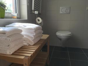 Koupelna v ubytování Wein Erlebnis Hotel Maimühle