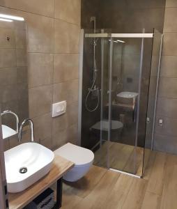 Koupelna v ubytování Casa Grzina