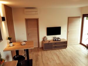 TV a/nebo společenská místnost v ubytování Casa Grzina