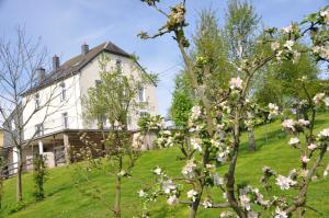Zahrada ubytování B&B Le Verger du Pierroy