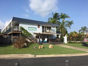 a motel building with two dogs laying on the grass at Cardwell Beachfront Motel in Cardwell