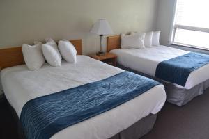 Habitación de hotel con 2 camas y ventana en Absaroka Lodge, en Gardiner