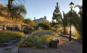 Gallery image of Casa Santana Segura in Tejeda