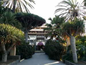 un patio con palmeras frente a un edificio en Casa Cafer en Las Palmas de Gran Canaria