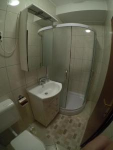a bathroom with a sink and a shower and a toilet at Kuca za odmor_Danica in Sveti Juraj