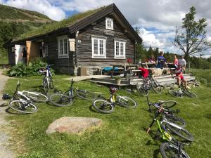 een groep fietsen geparkeerd voor een cabine bij Skei Apartments in Svingvoll