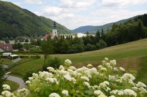 Foto da galeria de Haus Donaublick em Engelhartszell