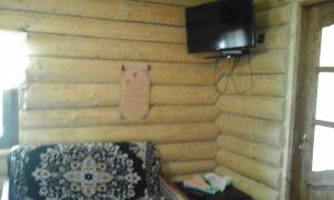 eine Wand mit einem TV und einer Couch in einem Zimmer in der Unterkunft Farmstead Lisova in Mischhirja