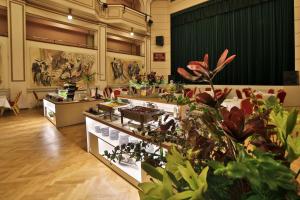 Fotografie z fotogalerie ubytování Hotel Ariston Prague v Praze