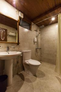 a bathroom with a toilet and a sink and a shower at TSG Blue Resort & Spa in Havelock Island