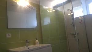 ラ・フロスリエールにあるGite Duguesclin VERTのバスルーム(シャワー、シンク、鏡付)