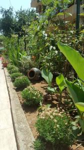 キテンにあるPri Shopiteの地鉢植えの庭園