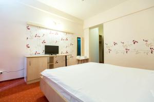 een slaapkamer met een bed en een tv aan de muur bij Hotel Onix in Ranca