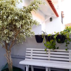 Taman di luar Kika room Estoril
