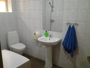 y baño con lavabo, aseo y espejo. en Jaani 2-1 Apartment, en Pärnu