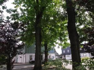 un groupe d'arbres devant un bâtiment blanc dans l'établissement Comfortable Holiday Home in Neuastenberg, à Winterberg