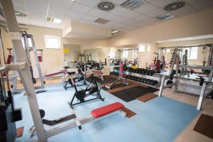 Palestra o centro fitness di Hotel Olympionik