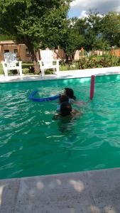 dos perros nadando en una piscina en Amaikén Suites en Nono