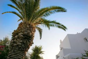 Fotografia z galérie ubytovania Anna-Maria Mykonos Hotel v destinácii Glastros