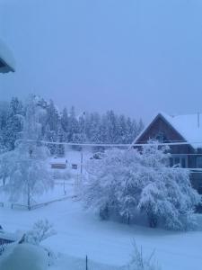 un cortile coperto da neve con alberi e una casa di Nadiira a Slavske