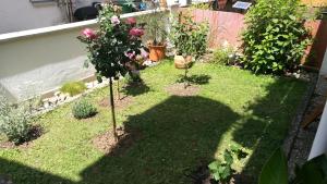 a garden with two trees and other plants at Ferienwohnung Adelsberg in Alpirsbach