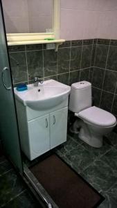 a bathroom with a sink and a toilet at Dnister Hotel Complex in Zhvanets +28 photos