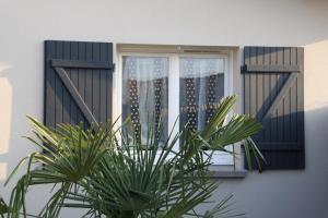 a window with a potted plant in front of it at Charme & Confort-Proche Parc Ornithologique-Dune du Pilat- Petit-déjeuner sur demande - Nuitée, Court séjour, Semaine in Gujan-Mestras