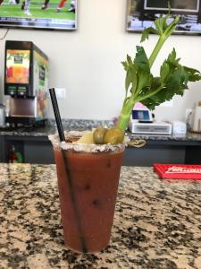 a drink sitting on a counter with a plant at Ocean Village Hotel in Surfside Beach